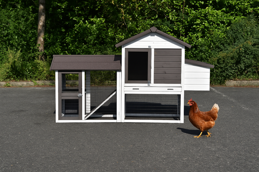 Prestige Small